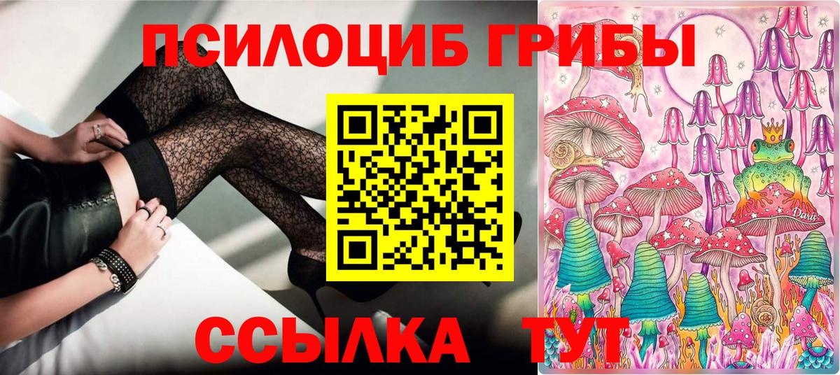 Псилоцибиновые грибы GOLDEN TEACHER Обь