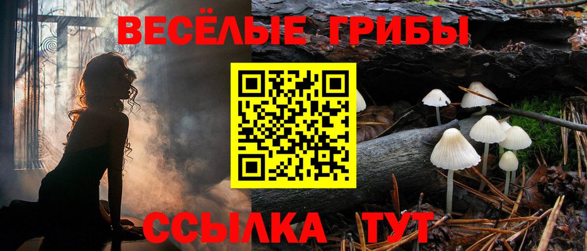 Обь  Галлюциногенные грибы прущие грибы  Галлюциногенные грибы ЛСД  Вход с VPN 